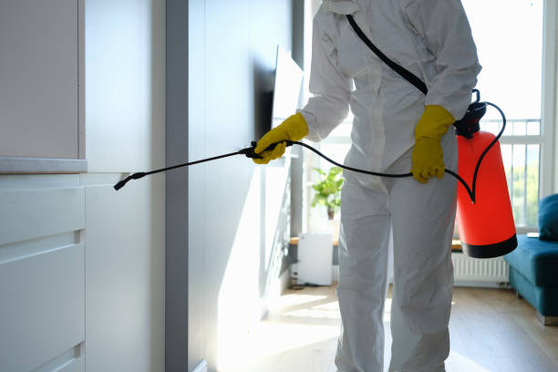 Best Commercial Mold Removal  in Red Lodge, MT