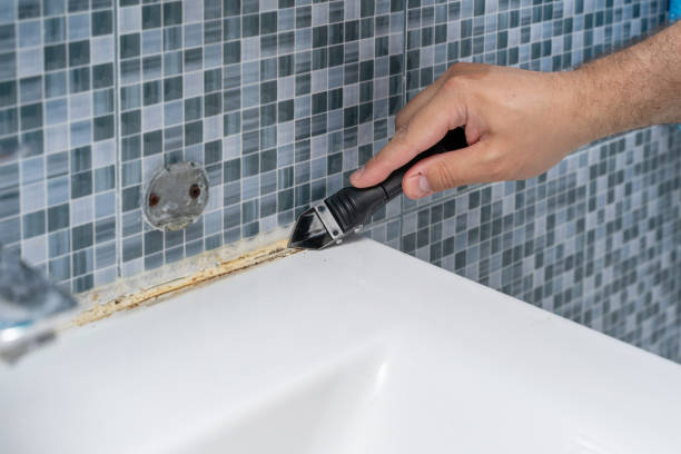 Best Residential Mold Removal  in Red Lodge, MT