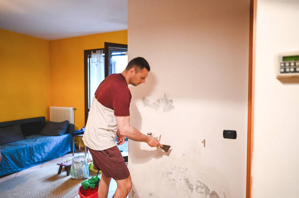 Best Affordable Mold Removal  in Red Lodge, MT